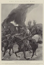 The Transvaal War